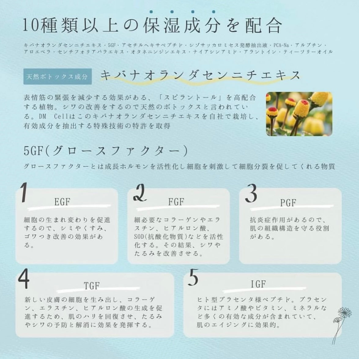 ビューティーエックス　エッセンジット